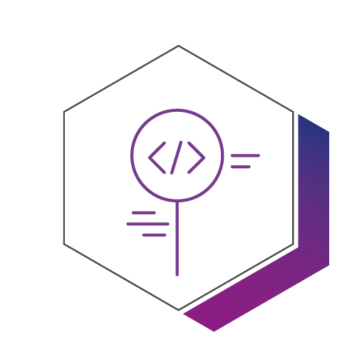 Icons 42Crunch_Security Audit